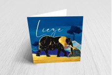 Olifant in savanne Olifant in savanne